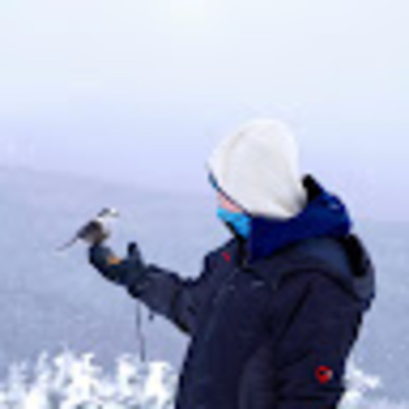 Meet your Posher, Ryan - Picture 1 of 1